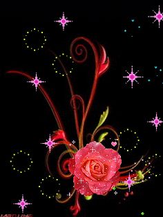 a red rose with swirls and stars on a black background