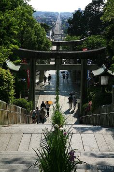 "Miyajidake shrine" Fukutsu-city, Fukuoka prefecture, Japan. Japan Bucket List, Japan Winter, All About Japan, Shinto Shrine, Japanese Lifestyle, Japanese Temple, Flower Festival, Iris Flower