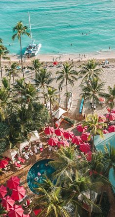 an aerial view of a beach with palm trees and umbrellas