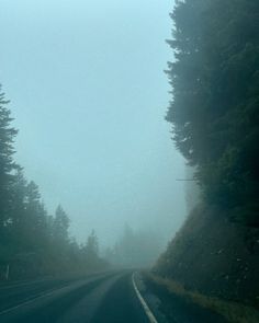 the road is very foggy and there are trees on both sides