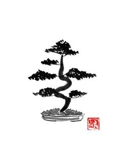 an ink drawing of a bonsai tree