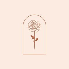 a rose in a window frame on a pink background