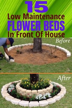 the before and after pictures of landscaping in front of a tree with text overlay