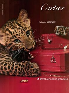 a book with an image of a leopard on the cover and two suitcases behind it