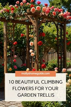 an arbor with roses growing on it and the words 10 beautiful climbing flowers for your garden trellis