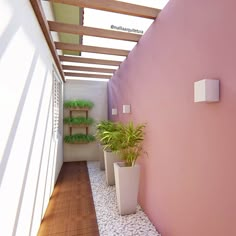 two planters on the side of a pink wall