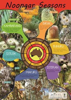 a poster with many different types of plants