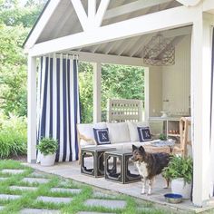 a dog is standing on the patio in front of an outdoor living area with blue and white striped curtains