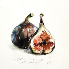 a watercolor painting of two figs on a white background