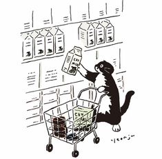 a black and white cat pushing a shopping cart in front of a wall with bottles on it