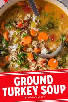 a close up of a bowl of soup with carrots and other foods in it