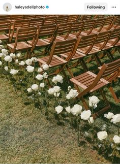 rows of wooden chairs with white flowers in the grass next to each other on either side