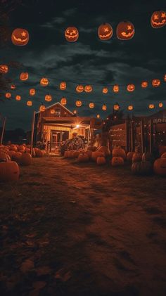 many pumpkins are lit up in the night sky