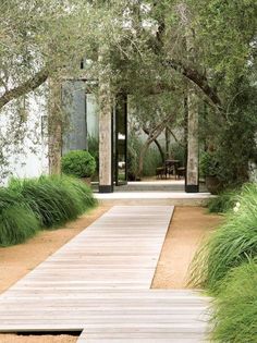 a wooden walkway in front of a house with tall grass and trees on either side