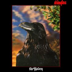 The Stranglers - The Raven (Limited Edition) The Stranglers, Vinyl Cd, Vinyl Record Album, The Raven, Album Cover Art, Record Album, Record Store, Studio Album