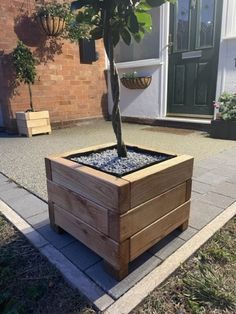 a small tree in a wooden box on the sidewalk