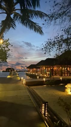 a walkway leading to the beach at night with lights on it and palm trees in the foreground