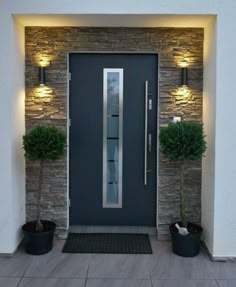 a modern entry door with two planters on either side and lights above the entrance