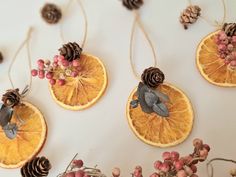 three orange slices with pine cones and berries are hanging from twine strings on a white surface