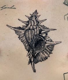 the back of a man's chest with a tattoo design on it, and an image of a sea shell