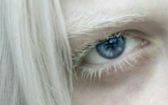 With Them, White Eyelashes, The Ancient Magus Bride, Purple Eyes, 인물 사진, White Aesthetic, Many People, White Hair, Cool Eyes