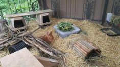 an outdoor area with hay, plants and old televisions