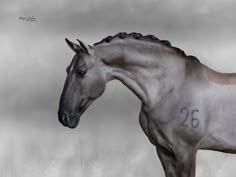 a gray horse with numbers painted on it's face and tail, standing in front of a cloudy sky