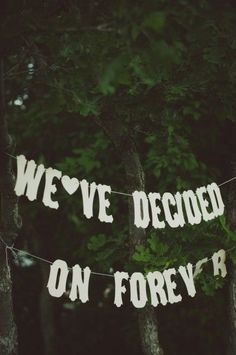 the words we've decided on forever are hanging from strings in front of trees