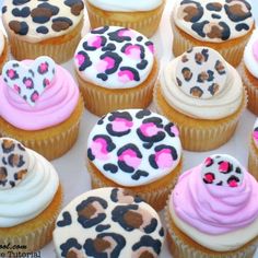 cupcakes decorated with leopard print and pink frosting