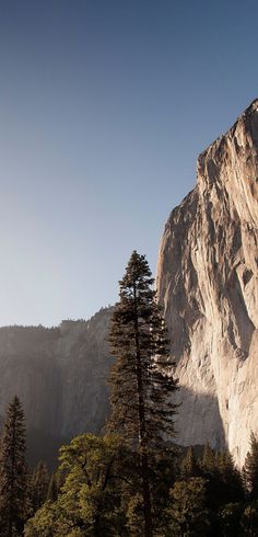 a mountain with trees in the foreground and mountains in the background, on a sunny day