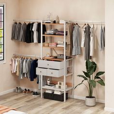 an organized closet with clothes and shoes hanging on the rack, next to a potted plant