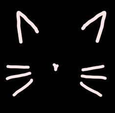 a black and white cat's face on a dark background