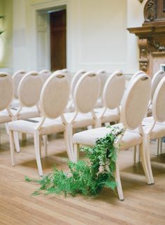 a row of white chairs sitting on top of a hard wood floor next to a plant