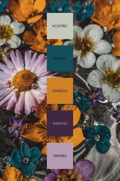 pantone board with different shades of purple, yellow and blue flowers in it's center