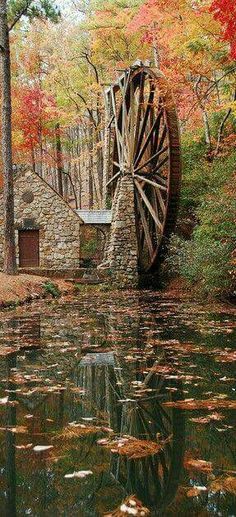 a water mill surrounded by trees and leaves