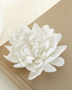 a white flower sitting on top of a book