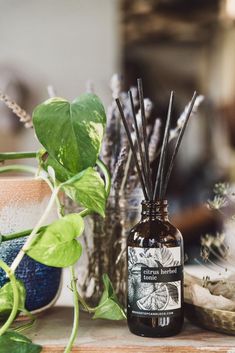 a bottle filled with reeds sitting next to plants and other items on a table