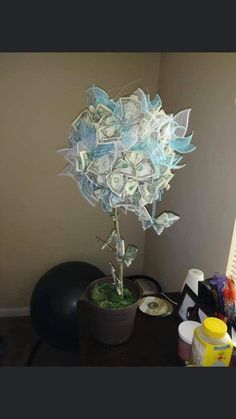 a money tree sitting on top of a wooden table