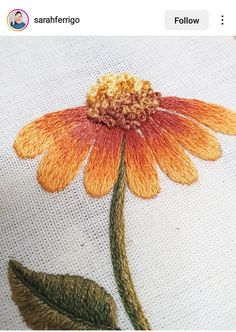 a close up of a flower on a piece of cloth