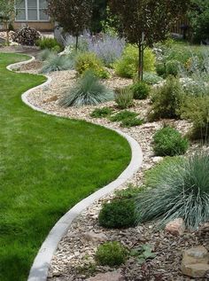 a very nice looking garden with lots of grass