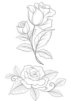 a drawing of two roses with leaves on the bottom and one flower in the middle