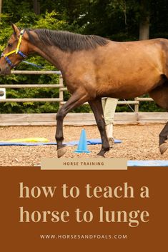 a horse is trotting through an obstacle course with the words how to teach a horse to lunge