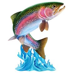 a rainbow colored fish jumping out of the water