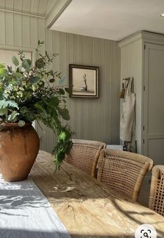 a large potted plant sitting on top of a wooden table