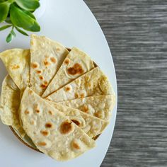 some tortillas on a white plate next to a potted plant