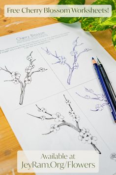 the free cherry blossom worksheets are available at jekyram org / flowers