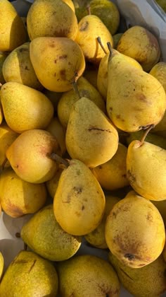 a pile of pears sitting on top of each other