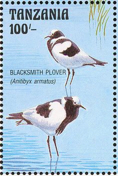 two black and white birds standing next to each other on a postage stamp with water in the background