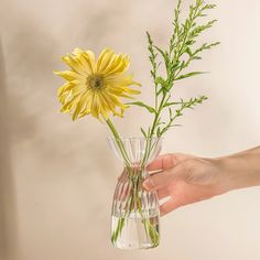 a person holding a vase with flowers in it and another hand reaching for the flower