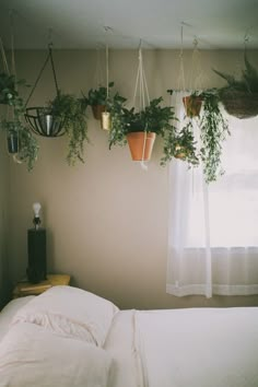 some plants hanging from the ceiling above a bed